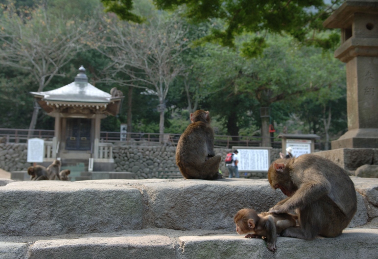 国内公园　高崎自然动物园